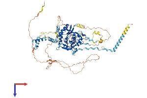 RSPH6A Protein (AA 1-708) (His tag)