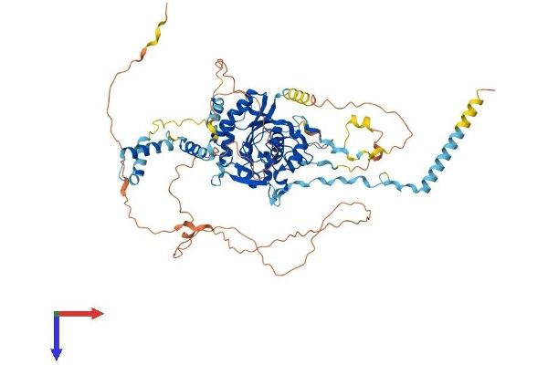 RSPH6A Protein (AA 1-708) (His tag)