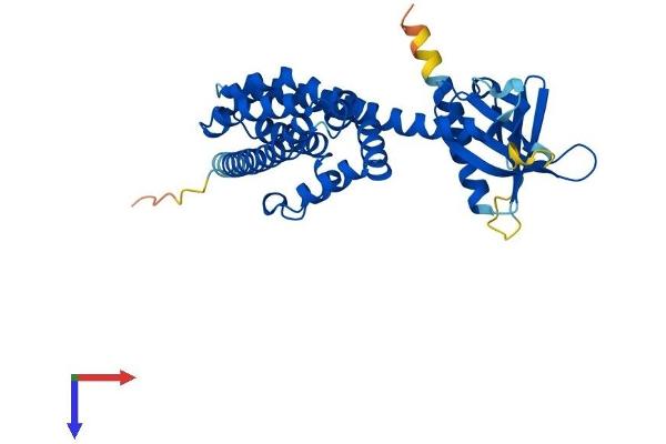 C9orf100 Protein (AA 1-344) (His tag)