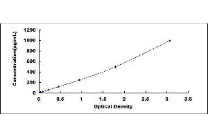 Typical standard curve (Amphiregulin ELISA Kit)