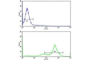 Flow Cytometry (FACS) image for anti-GATA Binding Protein 2 (GATA2) (AA 380-407) antibody (ABIN3031028)