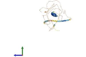Protein Structure (PS) image for Leber Congenital Amaurosis 5 (LCA5) (AA 1-697) protein (His tag) (ABIN7549004)