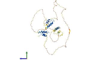Thymopoietin Protein (TMPO) (AA 1-452) (His tag)