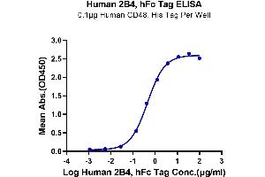 Immobilized Human CD48, His Tag at 1 μg/mL (100 μL/well) on the plate. (2B4 Protein (AA 22-221) (Fc Tag))