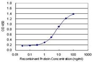 Detection limit for recombinant GST tagged SMAD7 is 0. (SMAD7 Antikörper  (AA 160-260))