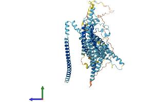 Protein Structure (PS) image for Transmembrane Channel-Like 1 (TMC1) (AA 1-760) protein (His tag) (ABIN7555791)