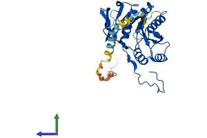 Protein Structure (PS) image for beta-1,3-Glucuronyltransferase 2 (Glucuronosyltransferase S) (B3GAT2) (AA 1-323) protein (His tag) (ABIN7552503)