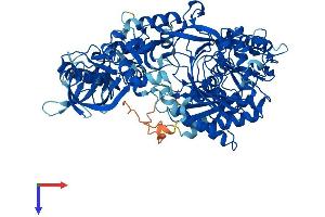 AGO1 Protein (AA 1-857) (His tag)
