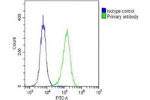 Overlay histogram showing Hela cells stained with (ABIN655949 and ABIN2845335) (green line). (DEPDC5 Antikörper  (AA 1404-1432))