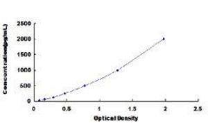 ELISA image for Eosinophil Chemotactic Factor (ECF) ELISA Kit (ABIN416306)