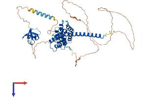 STAM2 Protein (AA 1-523) (His tag)