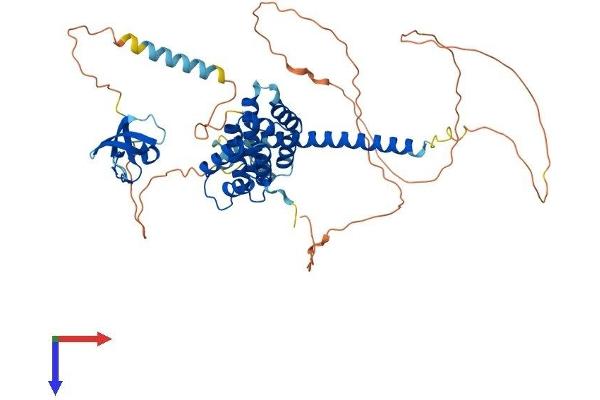 STAM2 Protein (AA 1-523) (His tag)