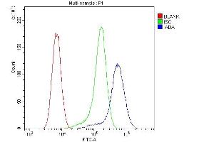 Flow Cytometry analysis of U20S cells using anti-ADA antibody (ABIN6719272). (ADA Antikörper  (AA 135-363))