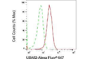 Flow cytometric analysis of UBA52 expression in C2C12 cells using UBA52 antibody (ABIN7800705), 1:2,000). (Rekombinanter UBA52 Antikörper)