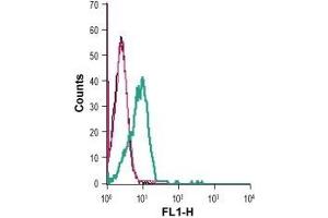 Cell surface detection of GPR83 in live intact human Jurkat T-cell leukemia cells: (black line) Cells. (GPR83 Antikörper  (Extracellular))