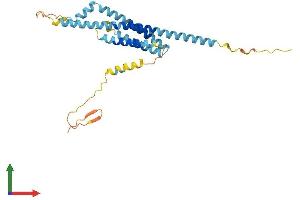 Protein Structure (PS) image for Transmembrane Protein 176B (TMEM176B) (AA 1-263) protein (His tag) (ABIN7556221)