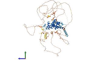AlphaFold protein structure predicition of Human Recombinant SOWAHB Protein, UniprotID A6NEL2