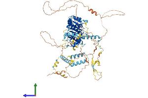 Protein Structure (PS) image for Adducin 2 (Beta) (ADD2) (AA 1-726) protein (His tag) (ABIN7551927)