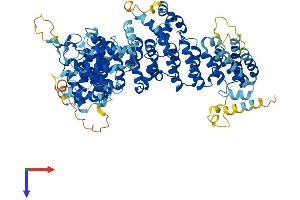 AP5Z1 Protein (AA 1-807) (His tag)