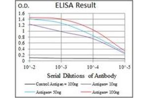 ELISA image for anti-Alkaline Phosphatase, Liver/bone/kidney (ALPL) antibody (ABIN1105293) (ALPL Antikörper)
