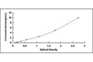 Typical standard curve (SAA4 ELISA Kit)