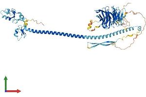 Protein Structure (PS) image for Tripartite Motif Containing 32 (TRIM32) (AA 1-655) protein (His tag) (ABIN7559335)
