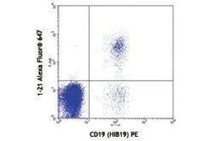 Flow Cytometry (FACS) image for anti-T-Cell Leukemia/lymphoma 1A (TCL1A) antibody (Alexa Fluor 647) (ABIN2658007) (TCL1A Antikörper  (Alexa Fluor 647))