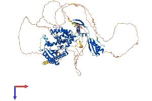 Interleukin enhancer-binding factor 3 (ILF3) (AA 1-898) protein (His tag)