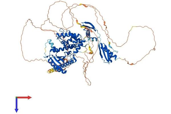 Interleukin enhancer-binding factor 3 (ILF3) (AA 1-898) protein (His tag)