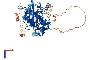 STRADB Protein (AA 1-418) (His tag)