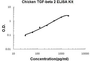 Chicken TGF-beta 2 PicoKine ELISA Kit standard curve (TGFB2 ELISA Kit)