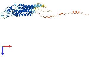 LPPR1 Protein (AA 1-325) (His tag)