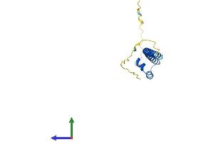 Protein Structure (PS) image for Transcription Factor MafK (MAFK) (AA 1-156) protein (His tag) (ABIN7557740)