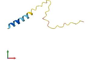 Protein Structure (PS) image for Progressive Rod-Cone Degeneration (PRCD) (AA 1-53) protein (Fc Tag) (ABIN7556853)