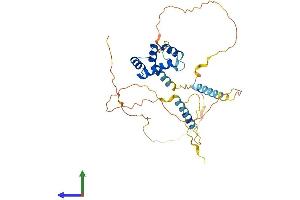 Protein Structure (PS) image for Mohawk Homeobox (MKX) (AA 1-352) protein (His tag) (ABIN7549451)