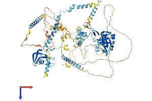 MCM10 Protein (AA 1-875) (His tag)