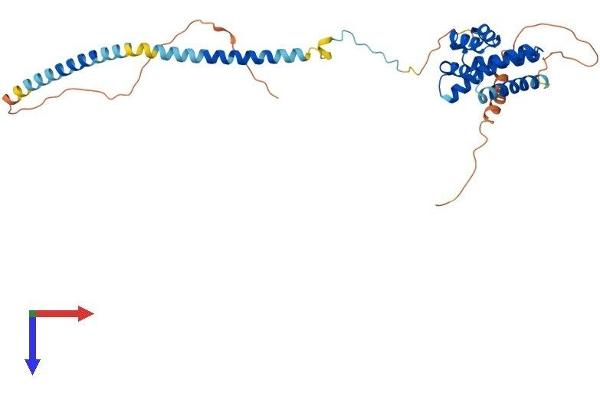 CDC37L1 Protein (AA 1-337) (His tag)
