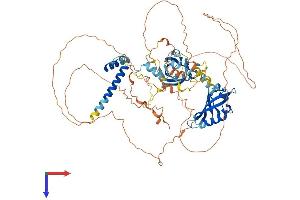 ARNT2 Protein (AA 1-712) (His tag)