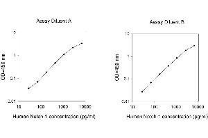 ELISA image for Notch 1 (NOTCH1) ELISA Kit (ABIN4883961) (Notch1 ELISA Kit)