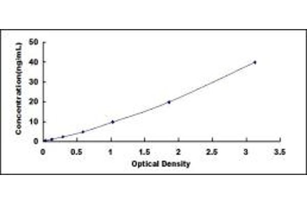 GOLM1 ELISA Kit