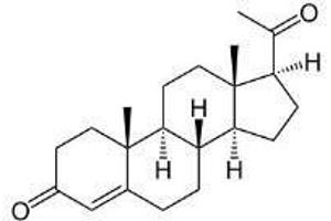 Image no. 1 for Progesterone peptide (HSA) (ABIN5666020)