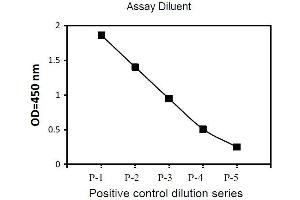 EPH Receptor B2 ELISA Kit