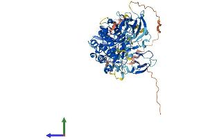 Protein Structure (PS) image for Protein Kinase C, gamma (PRKCG) (AA 1-697) protein (His tag) (ABIN7554315)
