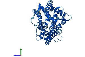 Protein Structure (PS) image for Transmembrane 7 Superfamily Member 2 (TM7SF2) (AA 1-418) protein (His tag) (ABIN7558156)