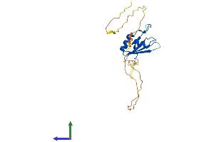 AlphaFold protein structure predicition of Mouse Recombinant Rbpms Protein, UniprotID Q9WVB0