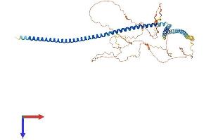 C14ORF39 Protein (AA 1-574) (His tag)