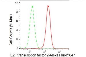 Flow cytometric analysis of E2F transcription factor 2 expression in HAP-1 cells using E2F transcription factor 2 antibody (ABIN7798414), 1:2,000). (Rekombinanter E2F2 Antikörper)