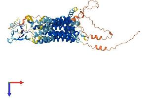 Solute Carrier Organic Anion Transporter Family, Member 3A1 (SLCO3A1) (AA 1-710) protein (His tag)