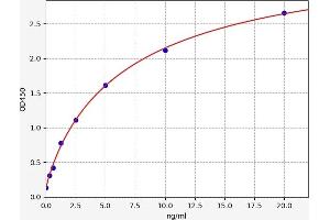 Cystatin A (Stefin A) (CSTA) ELISA Kit