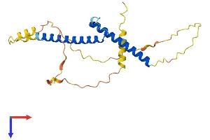 BHLHE23 Protein (AA 1-225) (His tag)